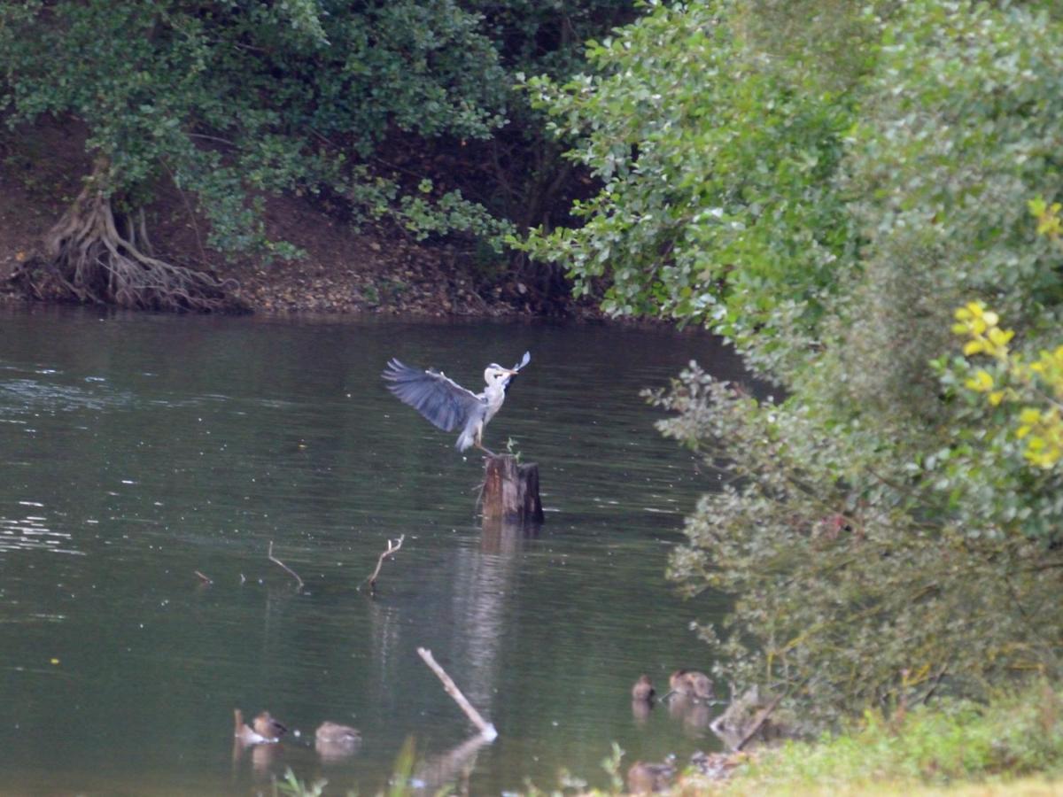 La Ravine Au Bord Du Loing Villa Montigny-sur-Loing Exteriör bild